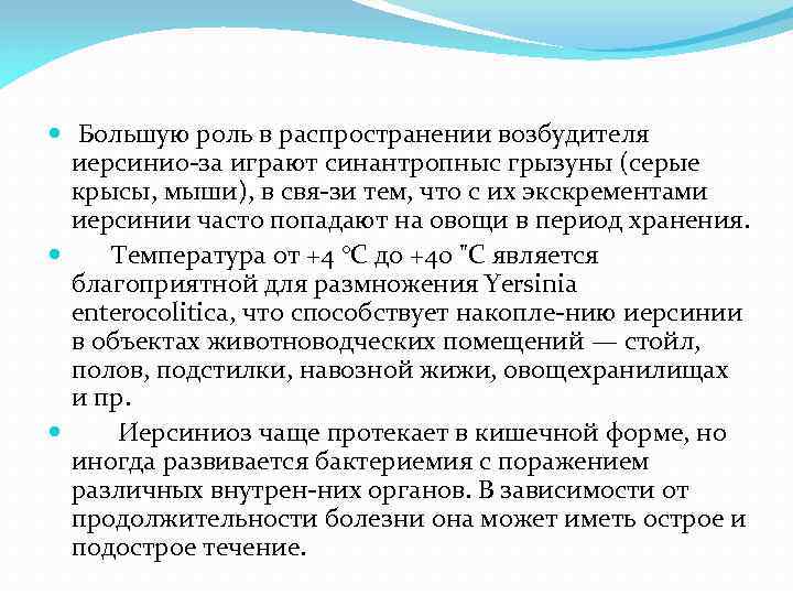 Большую роль в распространении возбудителя иерсинио за играют синантропныс грызуны (серые крысы, мыши),