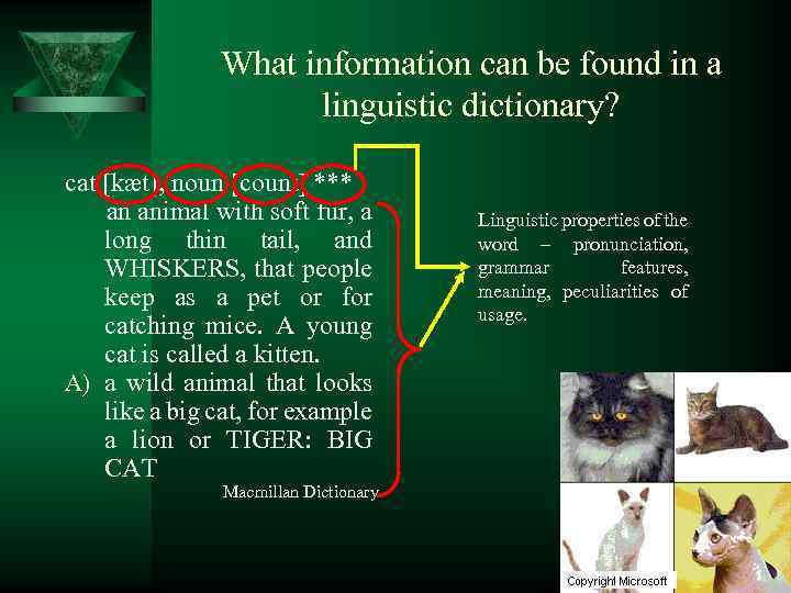 What information can be found in a linguistic dictionary? cat [kæt], noun [count] ***