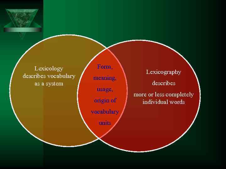 Lexicology describes vocabulary as a system Form, meaning, usage, origin of vocabulary units Lexicography