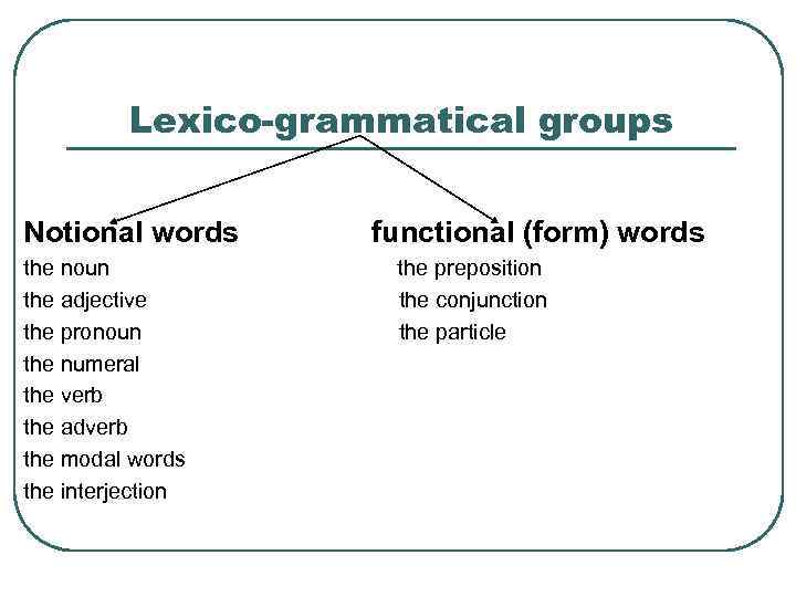 Lexico-grammatical groups Notional words the noun the adjective the pronoun the numeral the verb