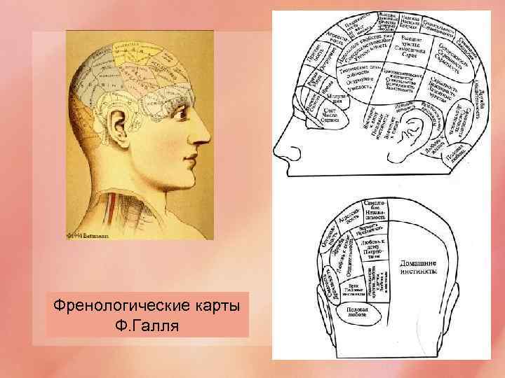 Френологические карты Ф. Галля 