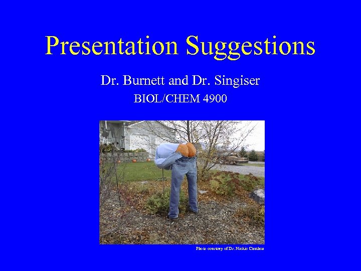 Presentation Suggestions Dr. Burnett and Dr. Singiser BIOL/CHEM 4900 Photo courtesy of Dr. Nickie