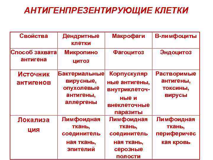 АНТИГЕНПРЕЗЕНТИРУЮЩИЕ КЛЕТКИ Свойства Дендритные клетки Макрофаги В-лимфоциты Способ захвата антигена Микропино цитоз Фагоцитоз Эндоцитоз