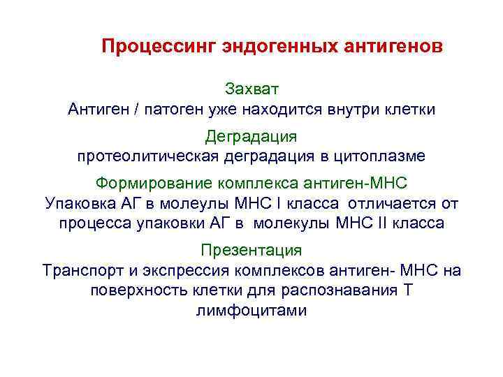 Процессинг эндогенных антигенов Захват Антиген / патоген уже находится внутри клетки Деградация протеолитическая деградация