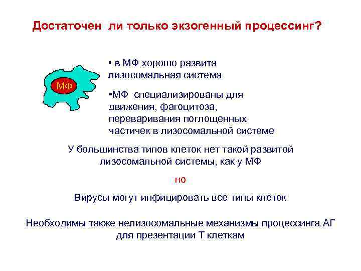 Достаточен ли только экзогенный процессинг? M • в МФ хорошо развита лизосомальная система •