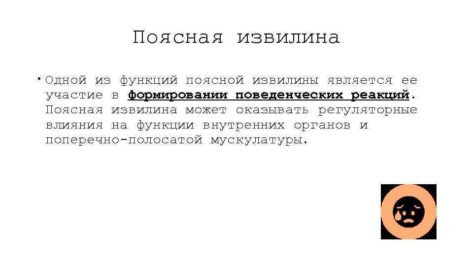 Поясная извилина Одной из функций поясной извилины является ее участие в формировании поведенческих реакций.