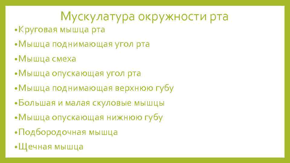 Мускулатура окружности рта • Круговая мышца рта • Мышца поднимающая угол рта • Мышца