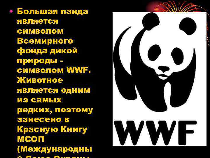  • Большая панда является символом Всемирного фонда дикой природы символом WWF. Животное является