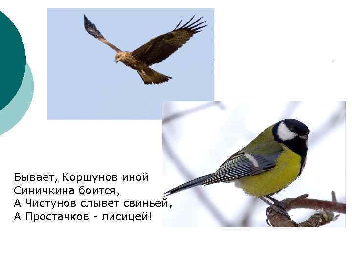 Бывает, Коршунов иной Синичкина боится, А Чистунов слывет свиньей, А Простачков - лисицей! 