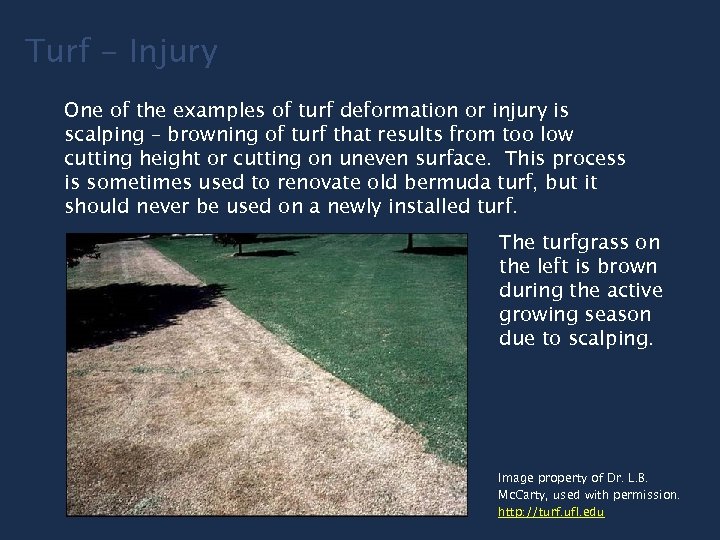 Turf - Injury One of the examples of turf deformation or injury is scalping