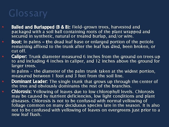 Glossary w w w Balled and Burlapped (B & B): Field-grown trees, harvested and