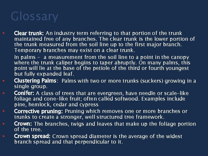 Glossary w w w Clear trunk: An industry term referring to that portion of