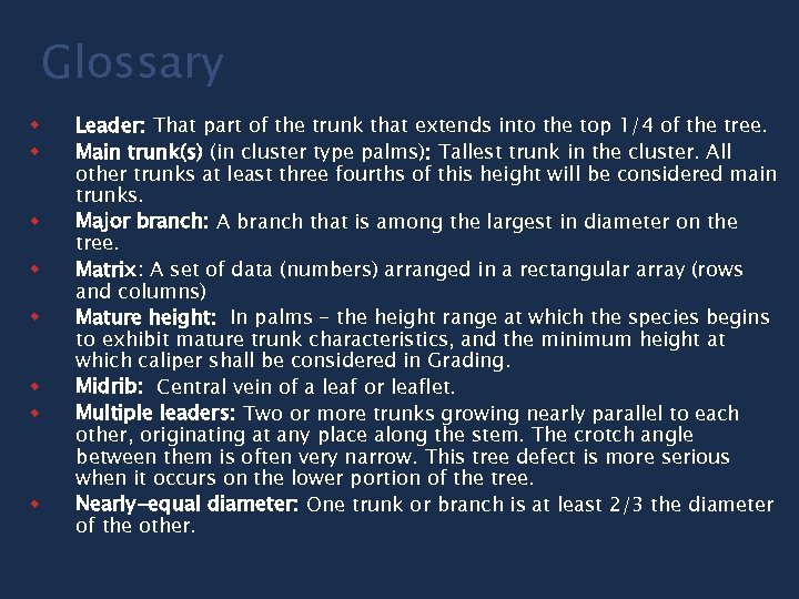 Glossary w w w w Leader: That part of the trunk that extends into