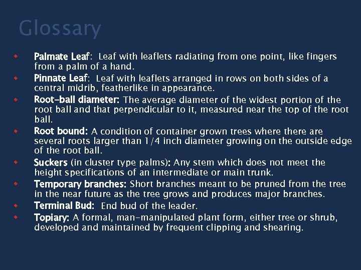 Glossary w w w w Palmate Leaf: Leaf with leaflets radiating from one point,