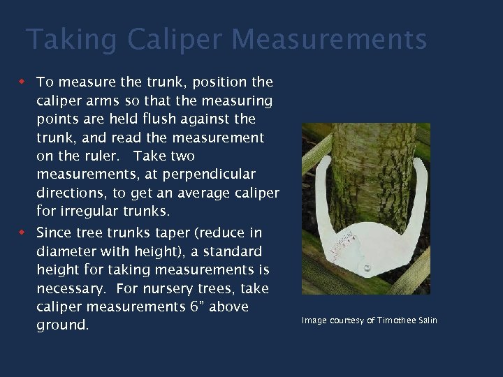 Taking Caliper Measurements w To measure the trunk, position the caliper arms so that