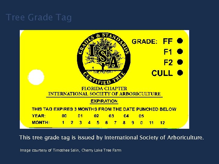 Tree Grade Tag This tree grade tag is issued by International Society of Arboriculture.