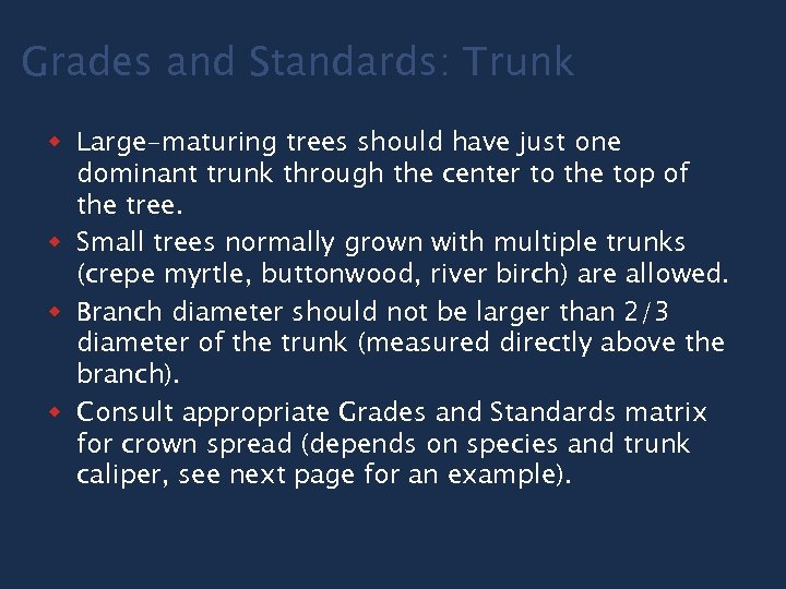 Grades and Standards: Trunk w Large-maturing trees should have just one dominant trunk through