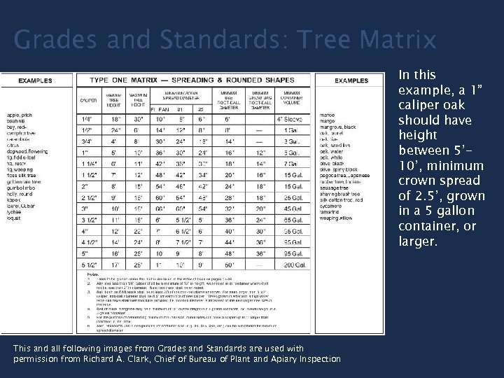 Grades and Standards: Tree Matrix In this example, a 1” caliper oak should have