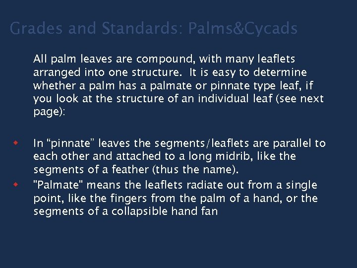 Grades and Standards: Palms&Cycads All palm leaves are compound, with many leaflets arranged into