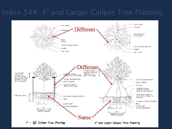 Index 544: 4” and Larger Caliper Tree Planting Different Same 