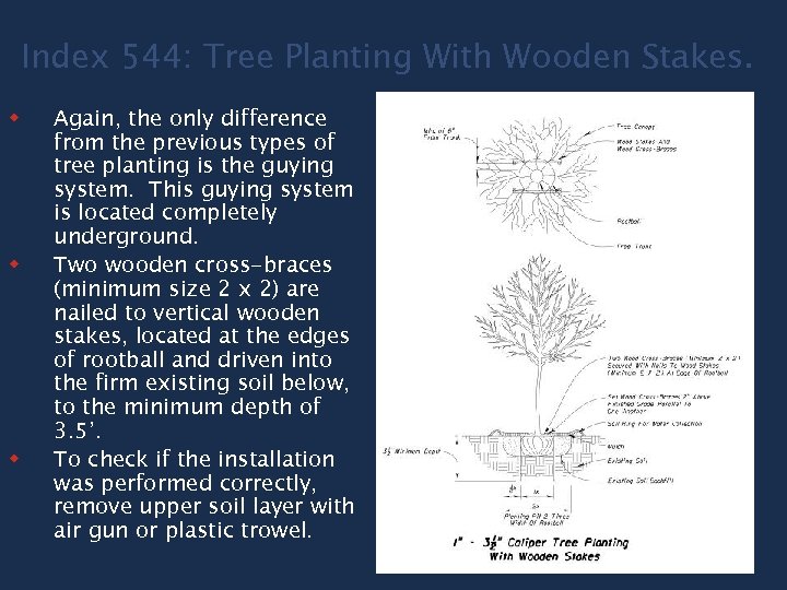 Index 544: Tree Planting With Wooden Stakes. w w w Again, the only difference