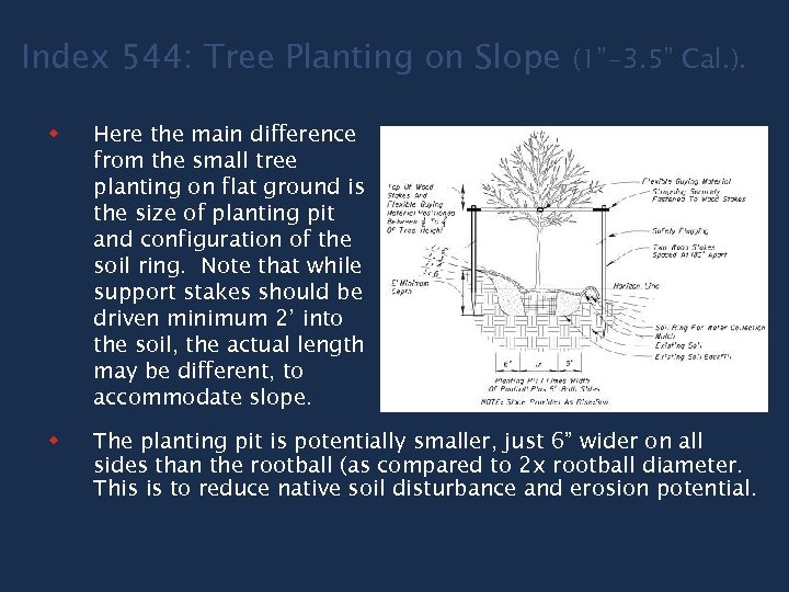 Index 544: Tree Planting on Slope (1”-3. 5” Cal. ). w Here the main