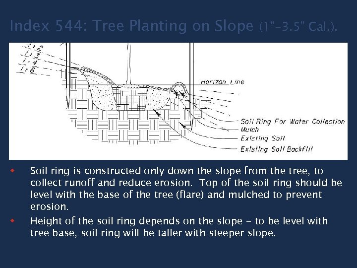 Index 544: Tree Planting on Slope w w (1”-3. 5” Cal. ). Soil ring