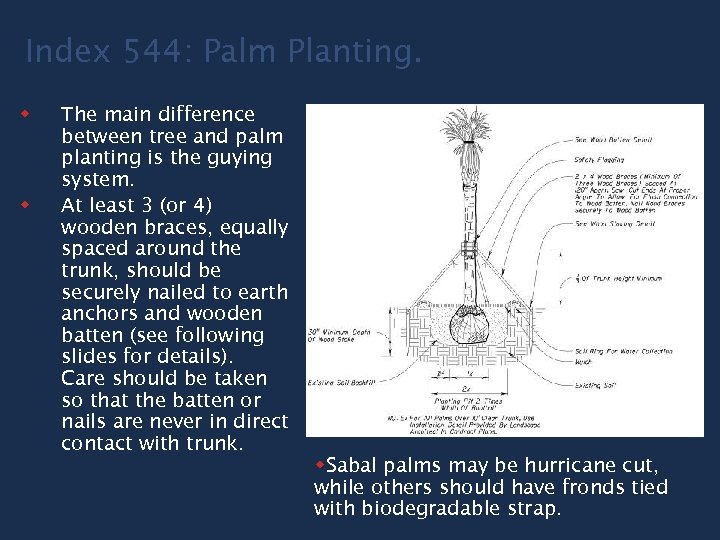 Index 544: Palm Planting. w w The main difference between tree and palm planting