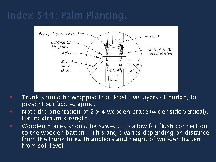 Index 544: Palm Planting. w w w Trunk should be wrapped in at least