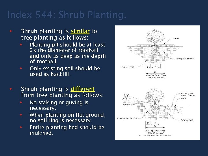 Index 544: Shrub Planting. w Shrub planting is similar to tree planting as follows: