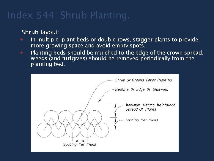 Index 544: Shrub Planting. Shrub layout: w w In multiple-plant beds or double rows,