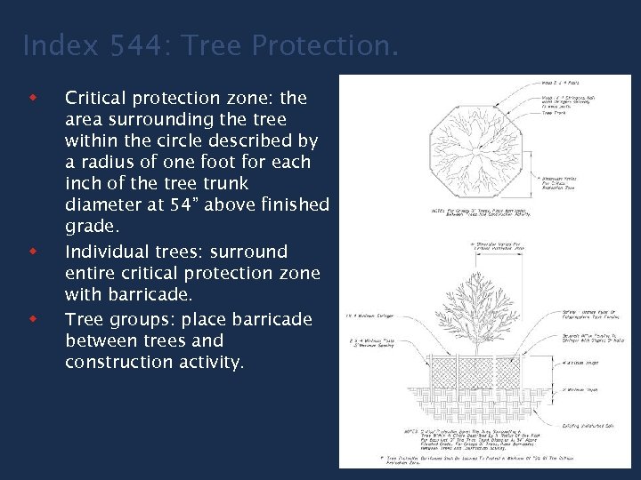 Index 544: Tree Protection. w w w Critical protection zone: the area surrounding the