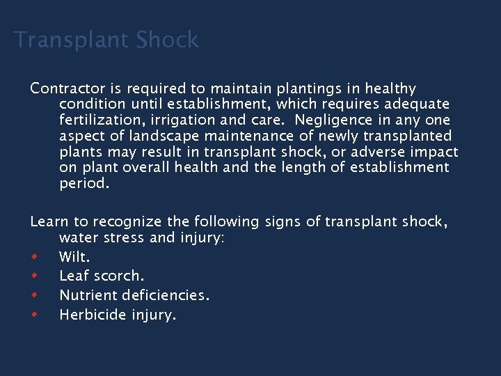 Transplant Shock Contractor is required to maintain plantings in healthy condition until establishment, which