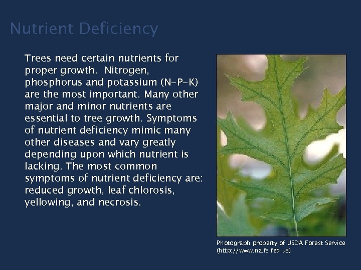 Nutrient Deficiency Trees need certain nutrients for proper growth. Nitrogen, phosphorus and potassium (N-P-K)