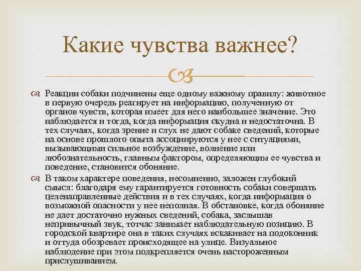 Какие чувства важнее? Реакции собаки подчинены еще одному важному правилу: животное в первую очередь