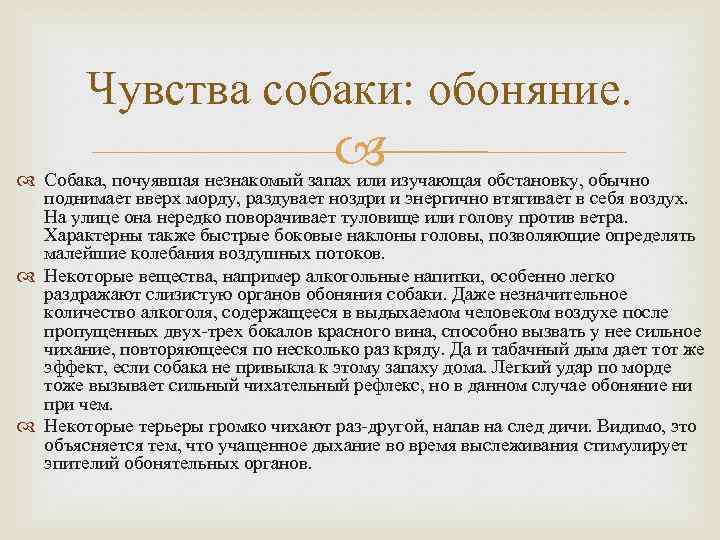 Почуять вид. Органы чувств собаки. Основные чувства собаки. Чувства собак обоняние. Чувств у собаки сколько чувств.