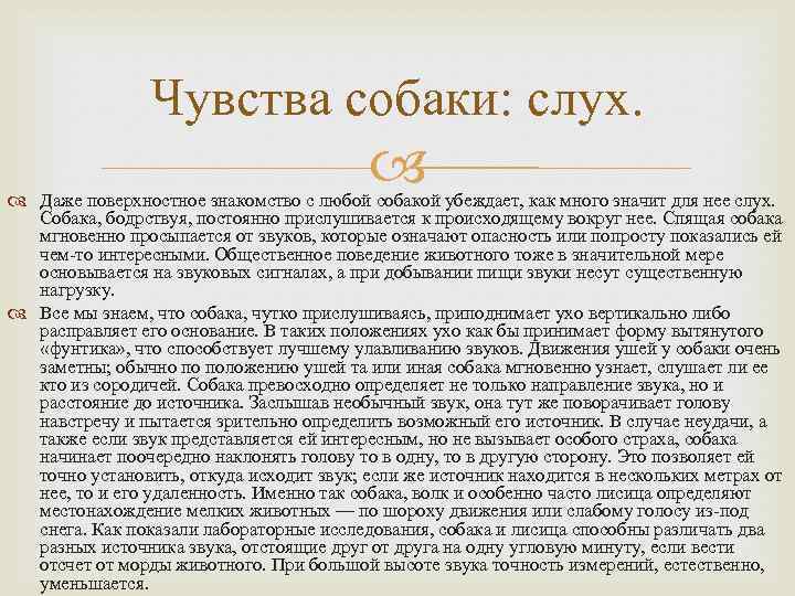 Чувства собаки: слух. Даже поверхностное знакомство с любой собакой убеждает, как много значит для