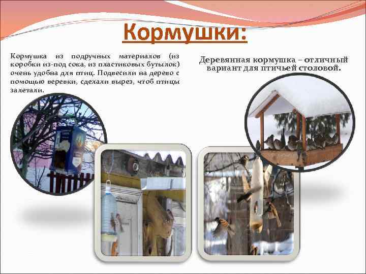 Кормушки: Кормушка из подручных материалов (из коробки из-под сока, из пластиковых бутылок) очень удобна