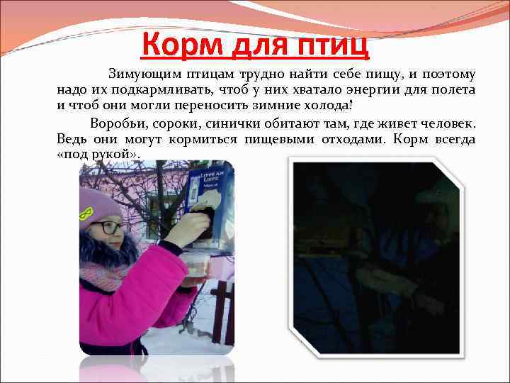 Корм для птиц Зимующим птицам трудно найти себе пищу, и поэтому надо их подкармливать,