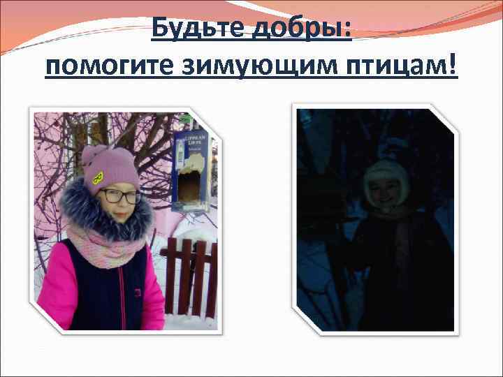 Будьте добры: помогите зимующим птицам! 