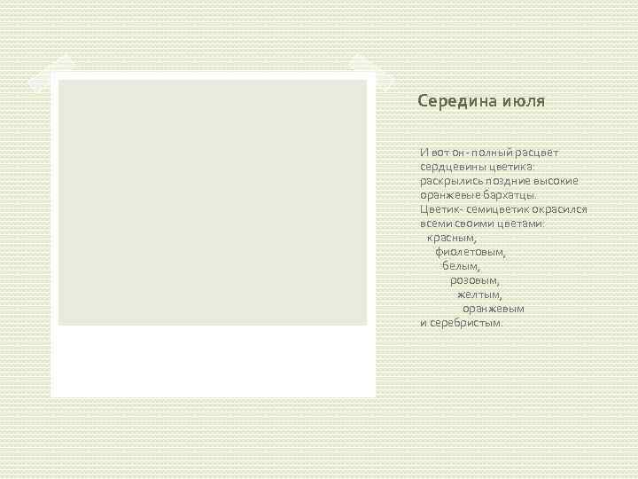 Середина июля И вот он- полный расцвет сердцевины цветика: раскрылись поздние высокие оранжевые бархатцы.