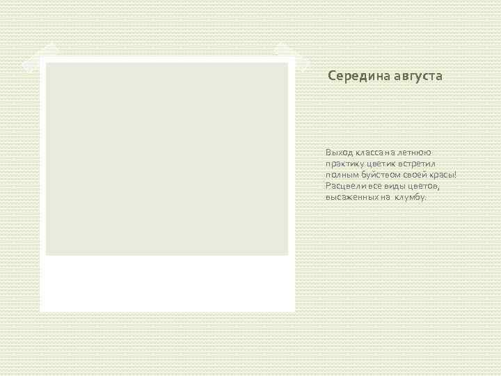 Середина августа Выход класса на летнюю практику цветик встретил полным буйством своей красы! Расцвели