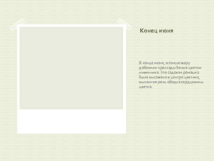 Конец июня В конце июня, в самую жару добавили прохлады белые цветки нивянника. Эта