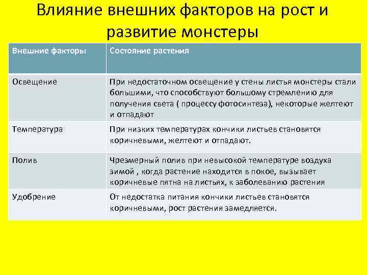 Влияние внешних факторов на рост и развитие монстеры Внешние факторы Состояние растения Освещение При