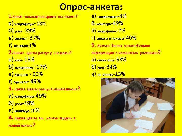 Опрос-анкета: 1. Какие комнатные цветы вы знаете? а) хлорофитум- 23% б) роза- 39% в)