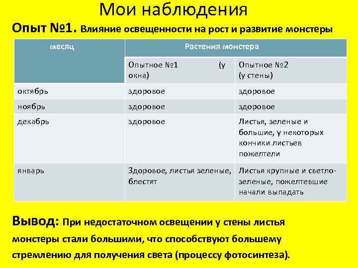 Мои наблюдения Опыт № 1. Влияние освещенности на рост и развитие монстеры месяц Растения