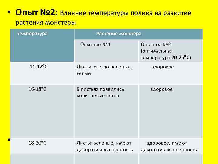  • Опыт № 2: Влияние температуры полива на развитие растения монстеры температура Растение