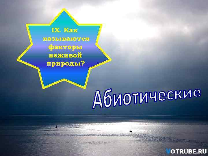 IX. Как называются факторы неживой природы? 