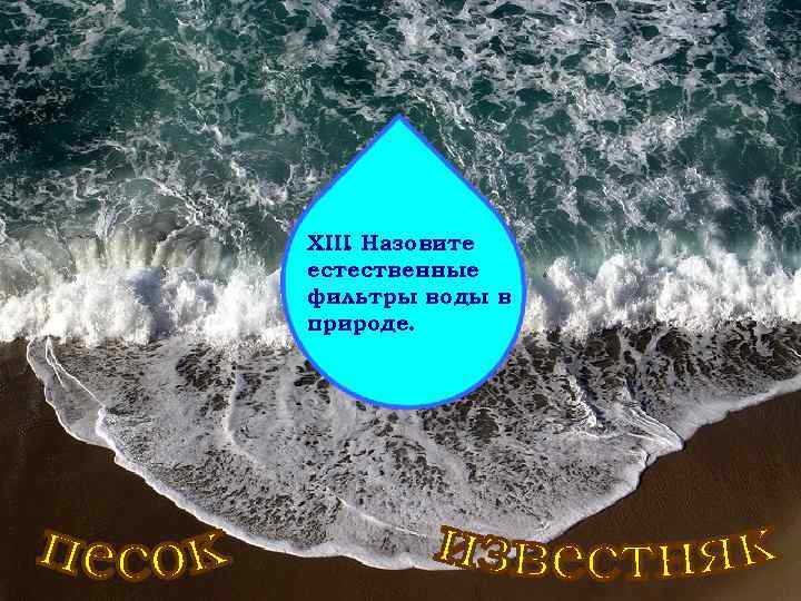 XIII Назовите. естественные фильтры воды в природе. 