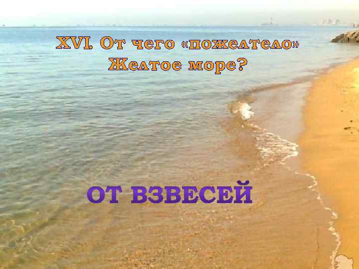 XVI. От чего «пожелтело» Желтое море? 